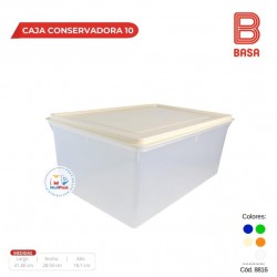 CAJA CONSERVADORA N°10