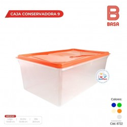 CAJA CONSERVADORA # 9