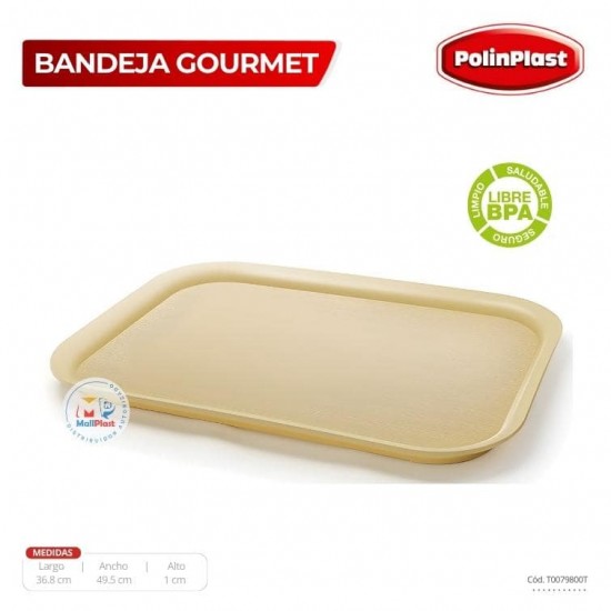 BANDEJA GOURMET NEW