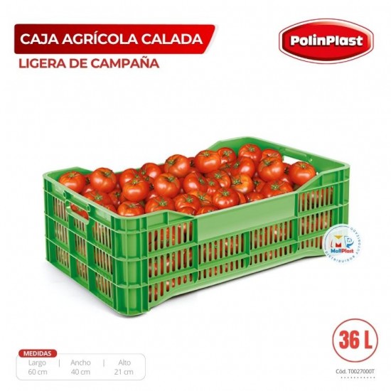 CAJA AGRICOLA CALADA LIGERA DE CAMPAÑA