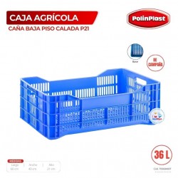 CAJA AGRICOLA CAÑA BAJA PISO CAL P21 DE CAMPAÑA