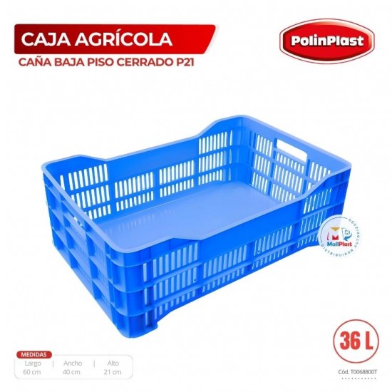 CAJA AGRICOLA CAÑA BAJA PISO CERRADO P21 DE CAMPAÑA