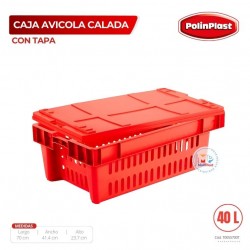 CAJA AVICOLA CALADA C/ TAPA