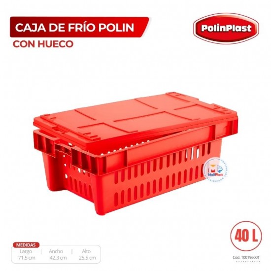 CAJA DE FRIO INDUSTRIAL POLIN C/HUECO