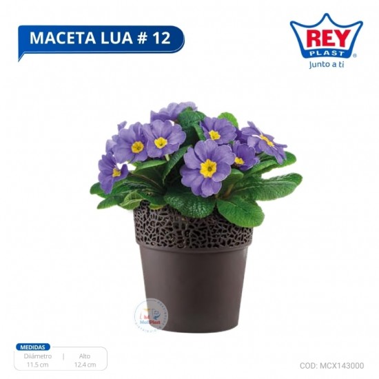 MACETA LUA # 12