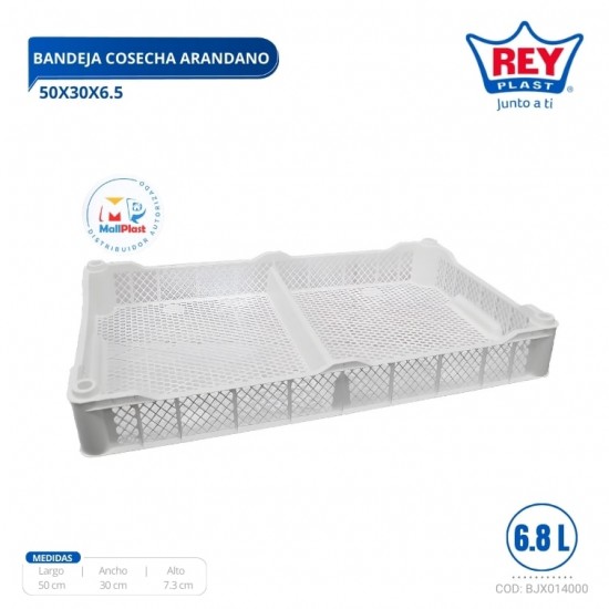 BANDEJA COSECHA ARANDANO 50X30X6.5