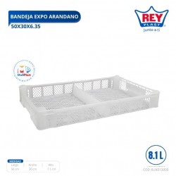 BANDEJA EXPO ARANDANO 50X30X6.35