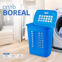 CESTO BOREAL