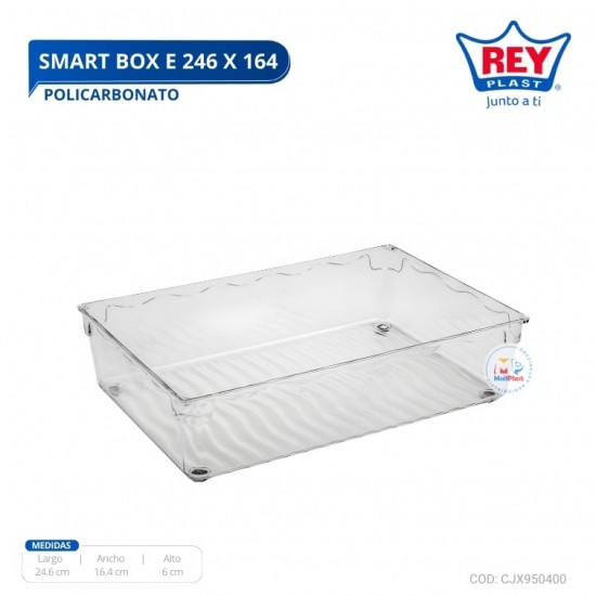 SMART BOX E 246 X 164 EN POLICARBONATO